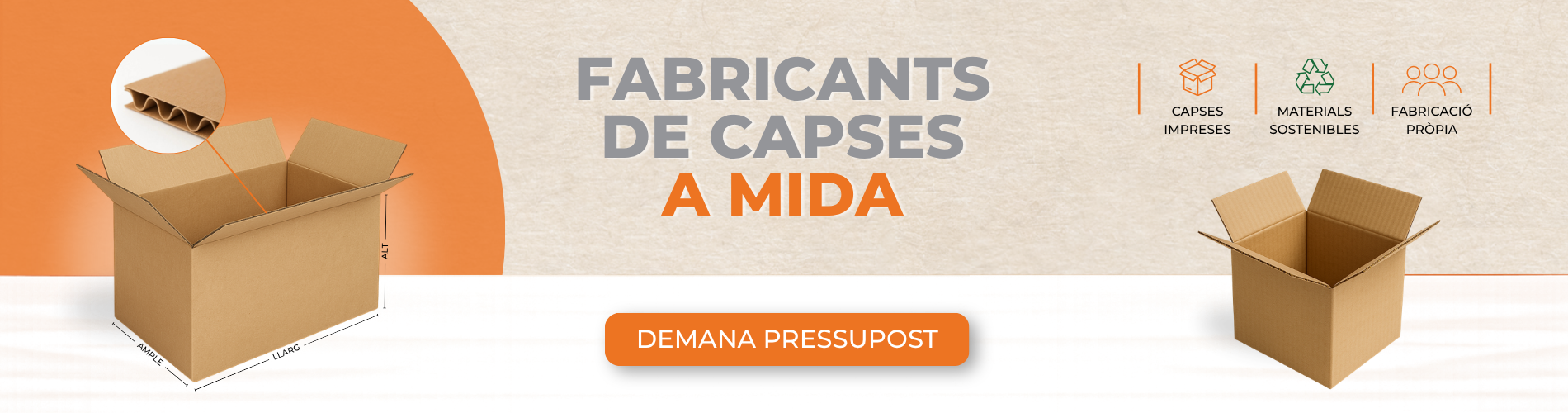 capses cat (nou)
