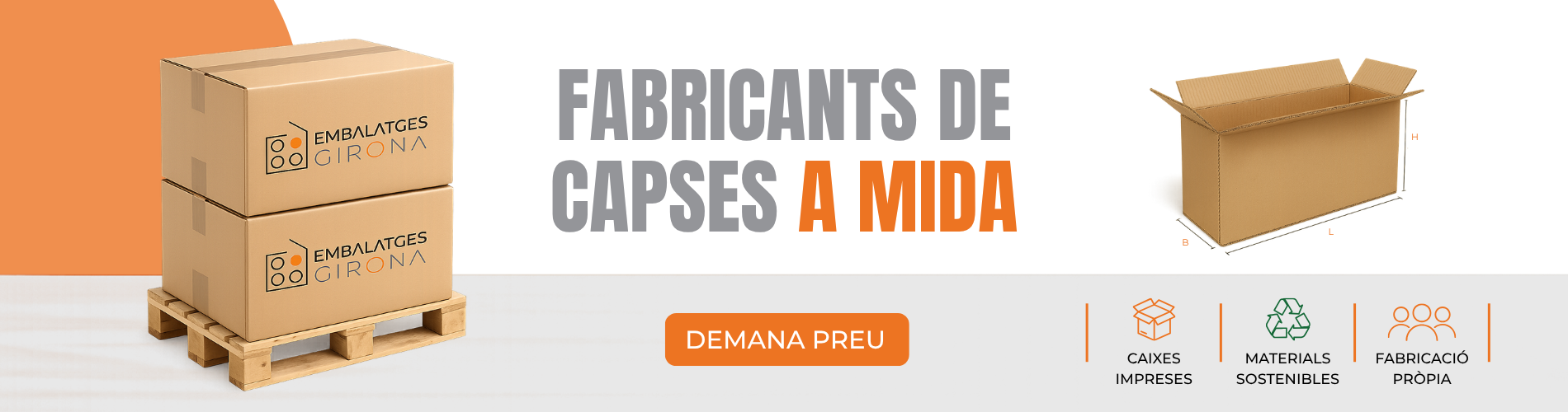 capses cat (nou)